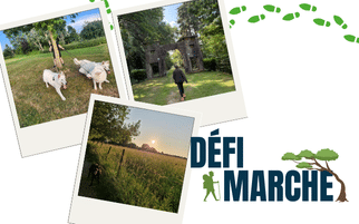Défi marche : 1308 arbres plantés !